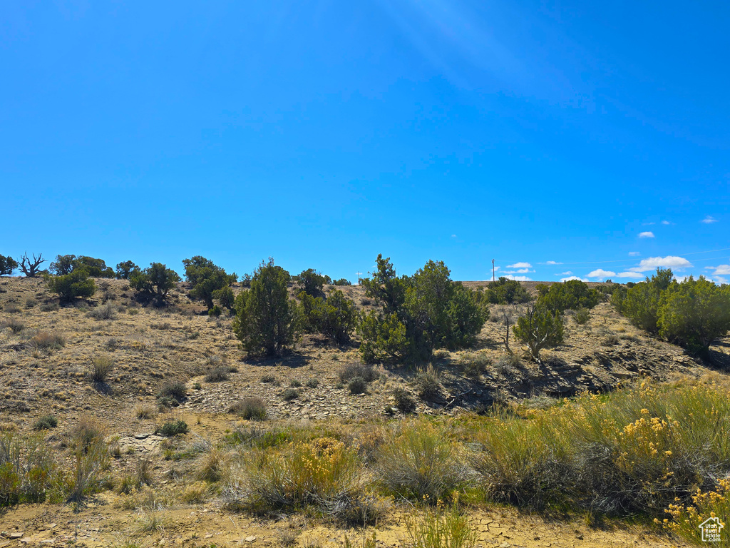 19915 W TOSHAS TRL Duchesne, UT 84021