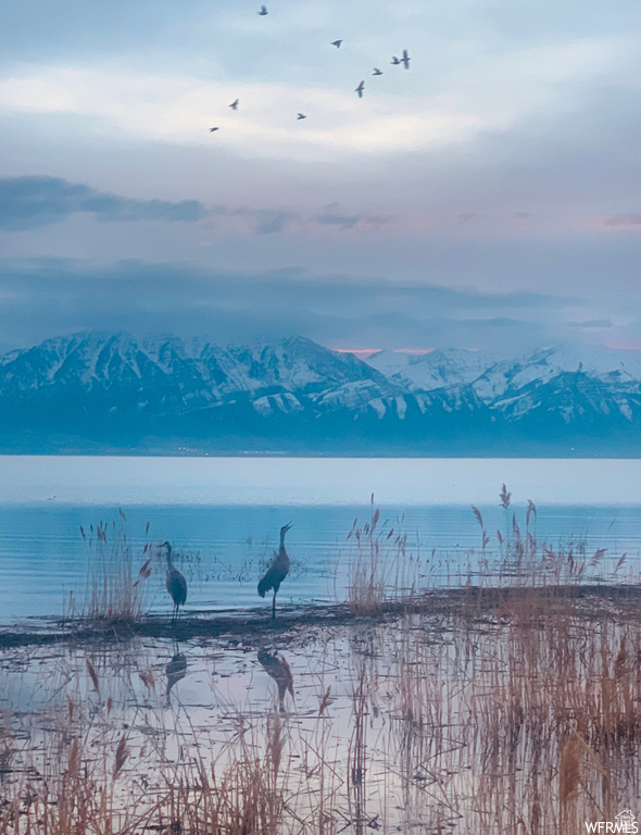 2156 S CENTENNIAL BLVD Saratoga Springs, UT 84045