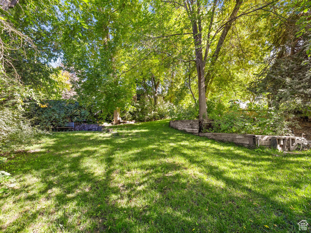 560 S 880 W Orem, UT 84058