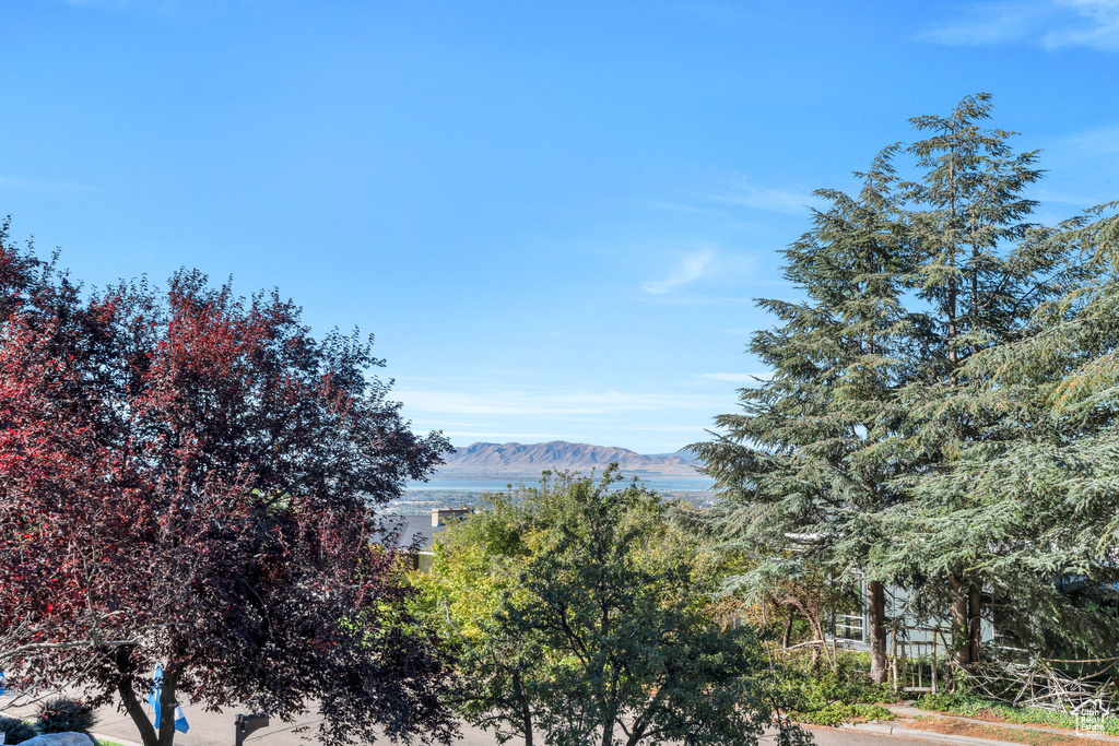 1754 N 1550 E Provo, UT 84604