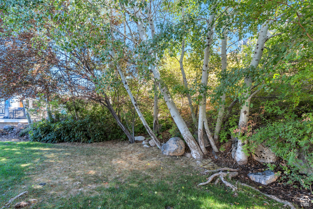 1754 N 1550 E Provo, UT 84604