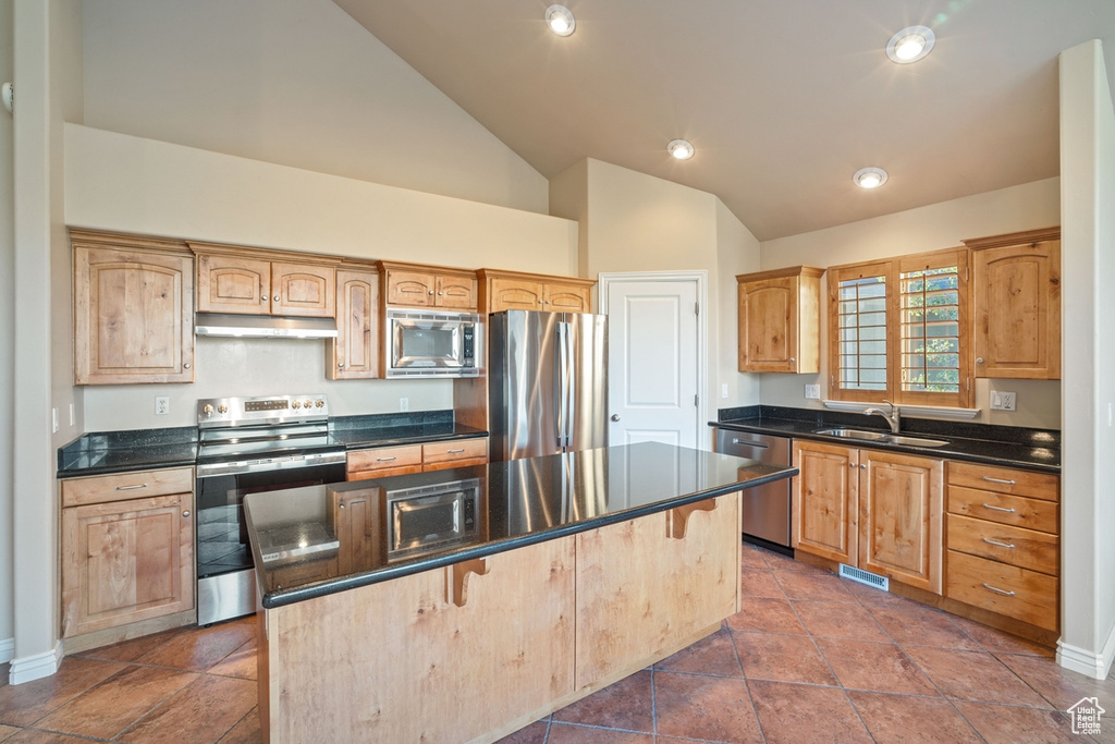 955 E MONTANA VISTA LN Salt Lake City, UT 84124