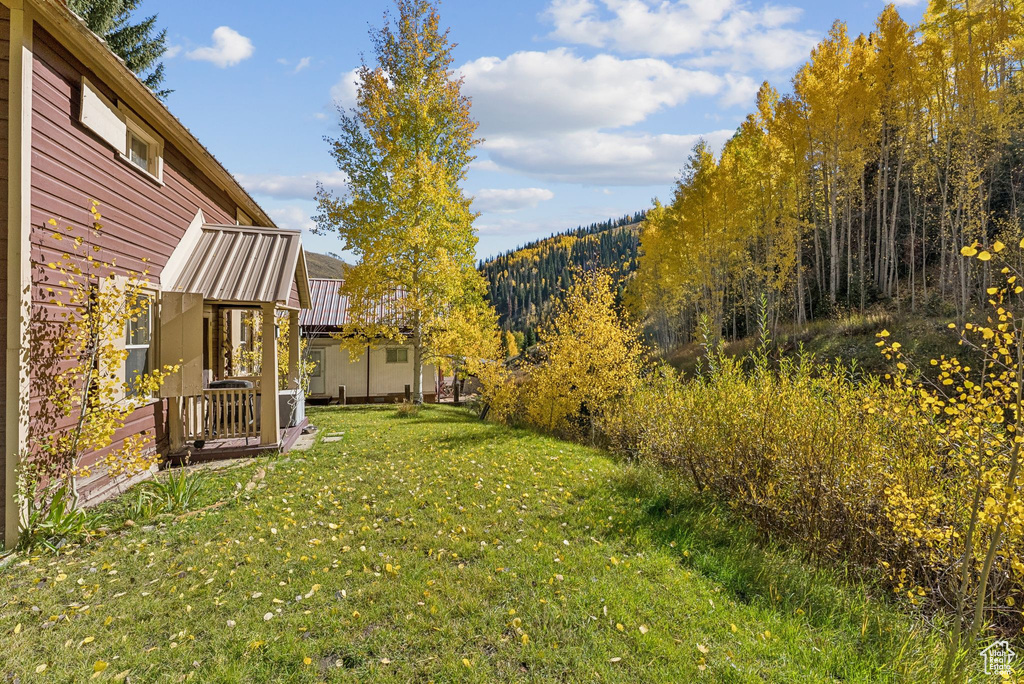 95 BLACK DIAMOND RD Scofield, UT 84526