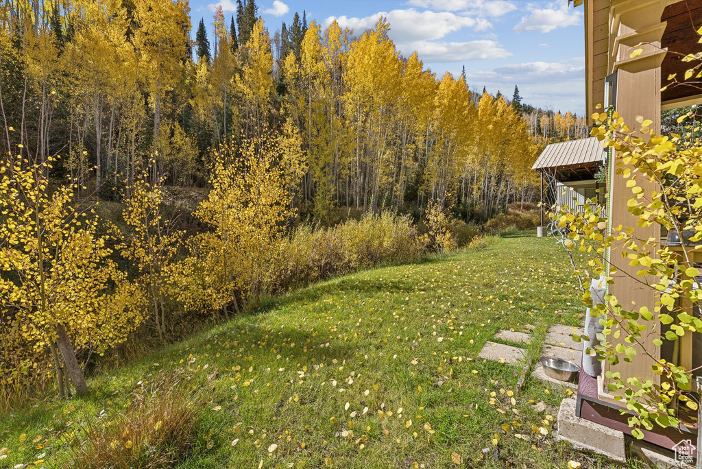 95 BLACK DIAMOND RD Scofield, UT 84526