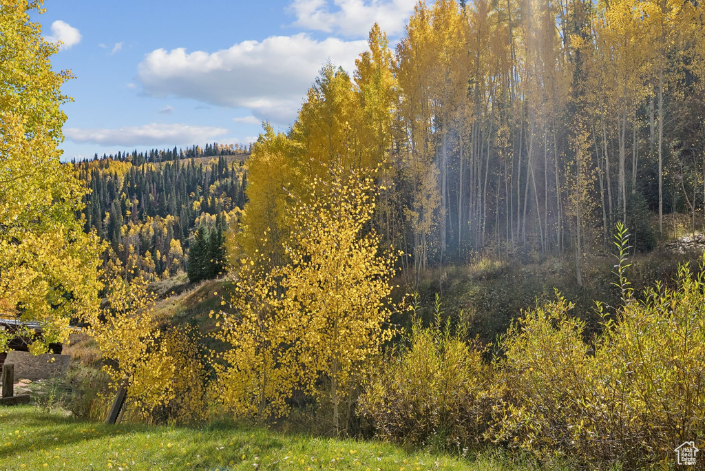 95 BLACK DIAMOND RD Scofield, UT 84526