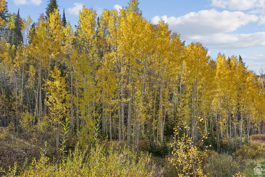 95 BLACK DIAMOND RD Scofield, UT 84526