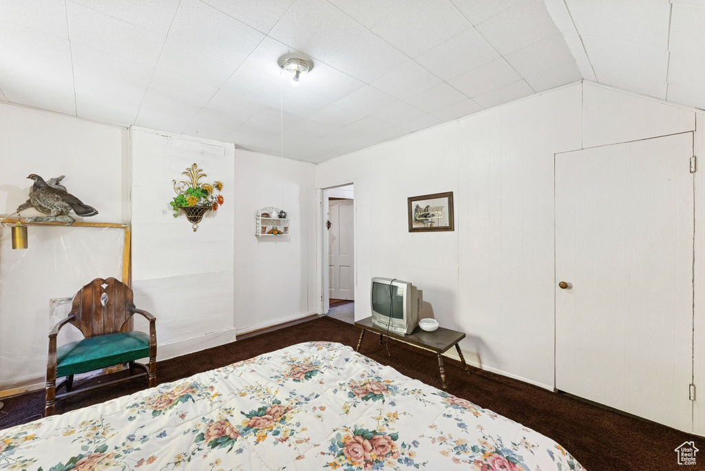 95 BLACK DIAMOND RD Scofield, UT 84526