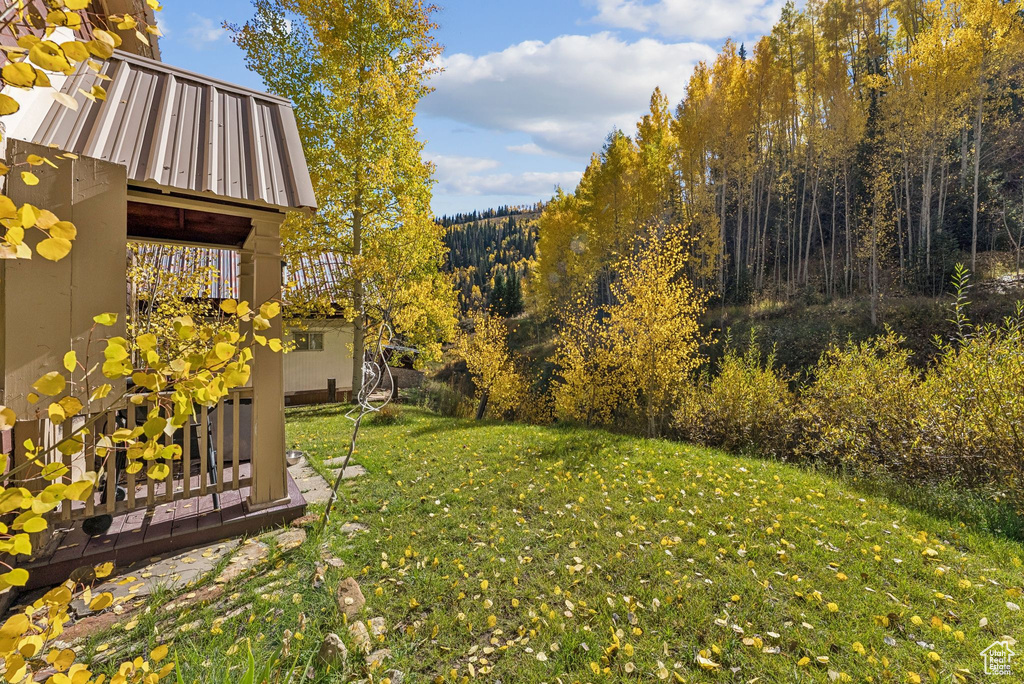 95 BLACK DIAMOND RD Scofield, UT 84526