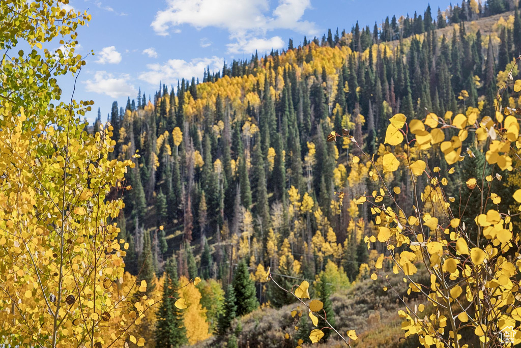 95 BLACK DIAMOND RD Scofield, UT 84526