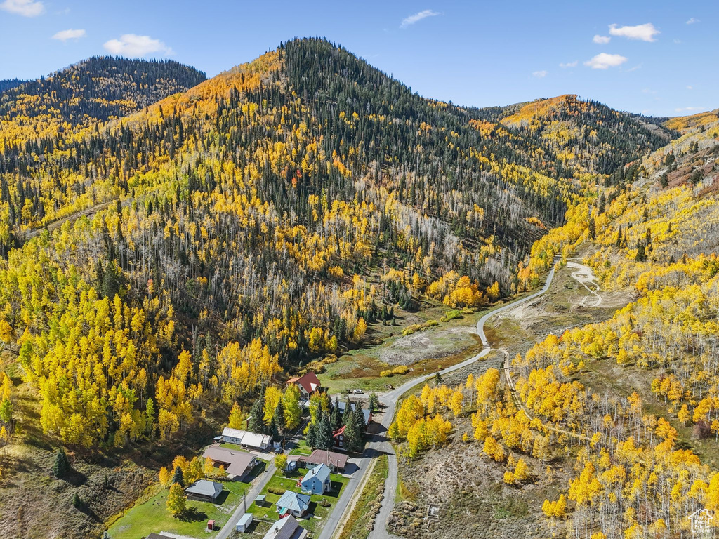 95 BLACK DIAMOND RD Scofield, UT 84526