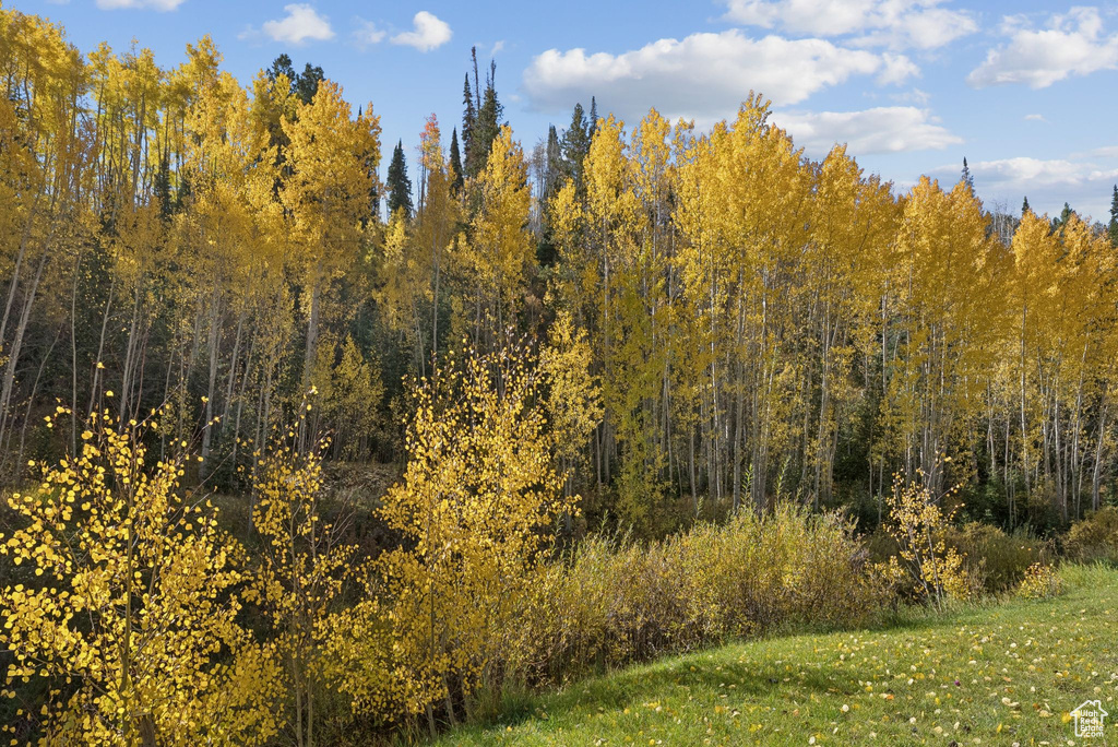 95 BLACK DIAMOND RD Scofield, UT 84526