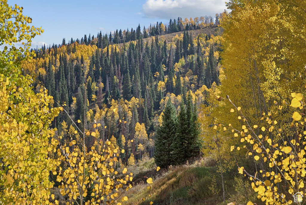 95 BLACK DIAMOND RD Scofield, UT 84526