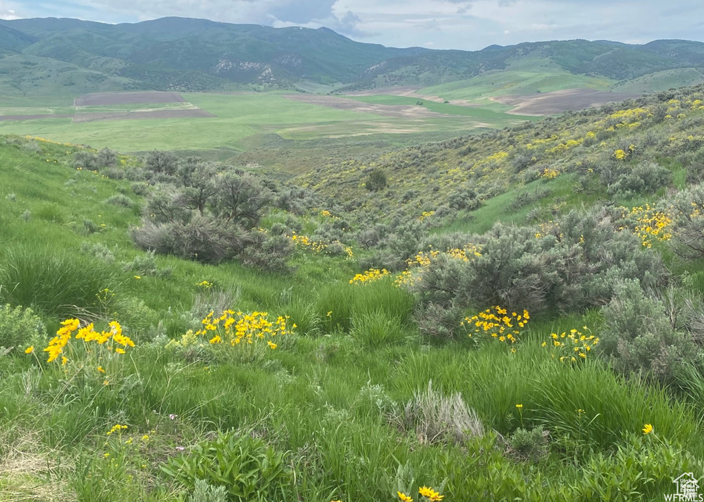 13900  DIRTY HEAD RD Clarkston, UT 84305