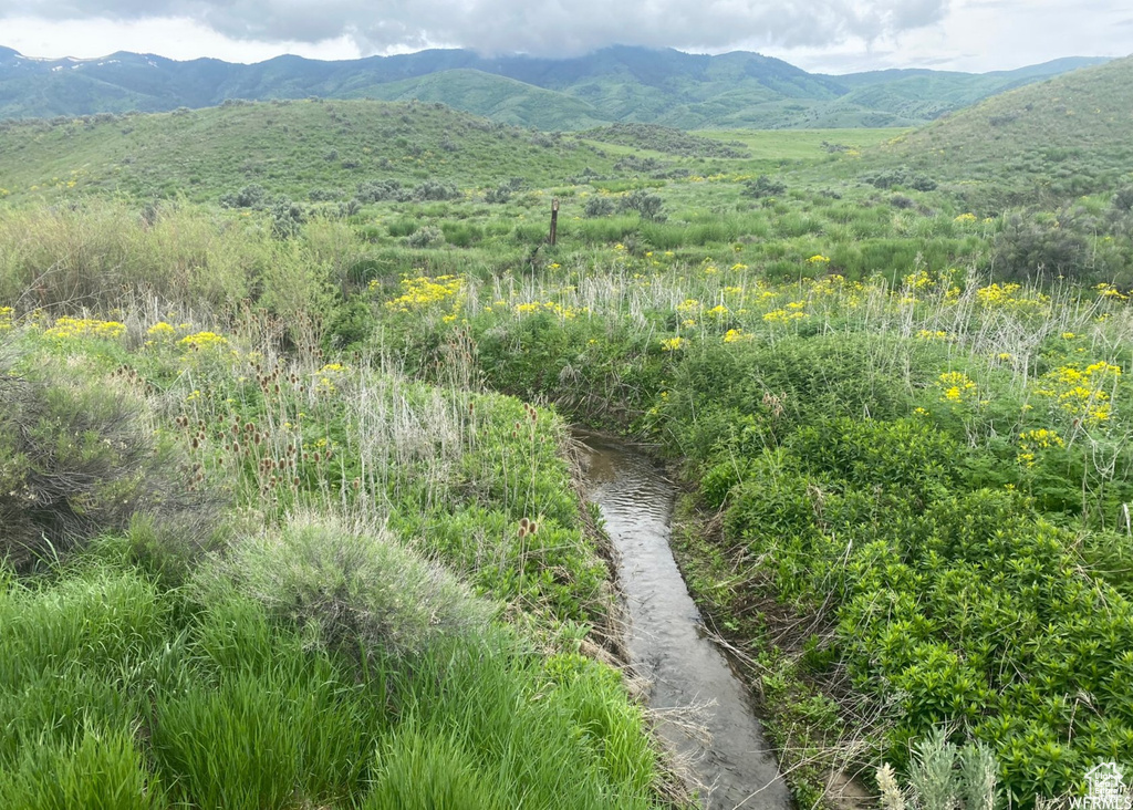 13900  DIRTY HEAD RD Clarkston, UT 84305