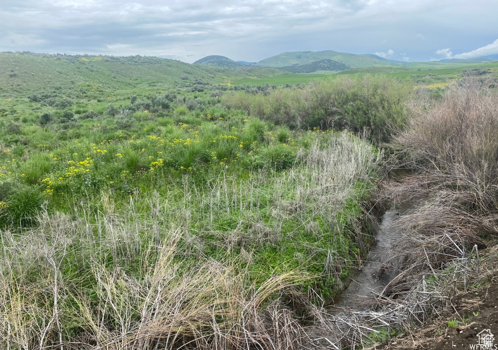 13900  DIRTY HEAD RD Clarkston, UT 84305