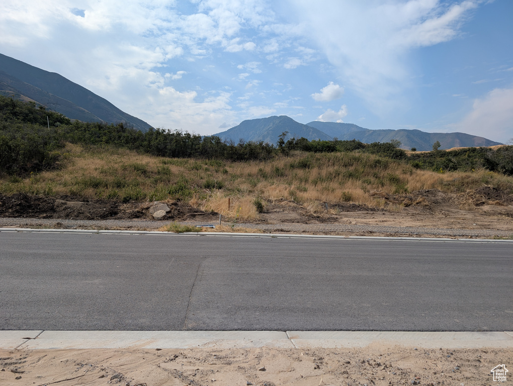 258 E MAPLE RIDGE DR Mapleton, UT 84664