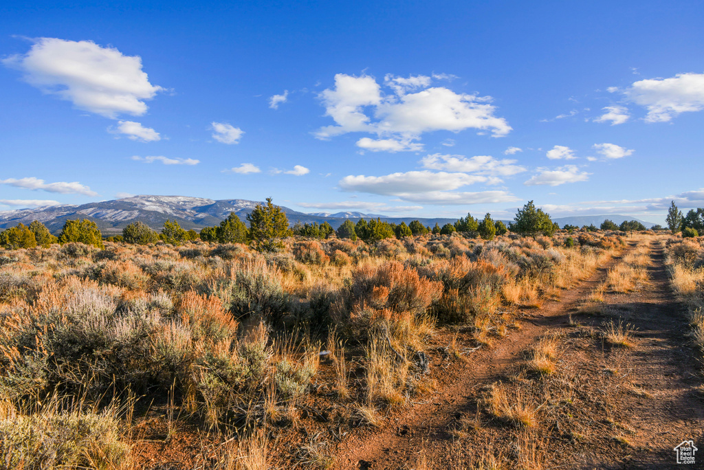 2400 E 4000 N North Creek, UT 84713