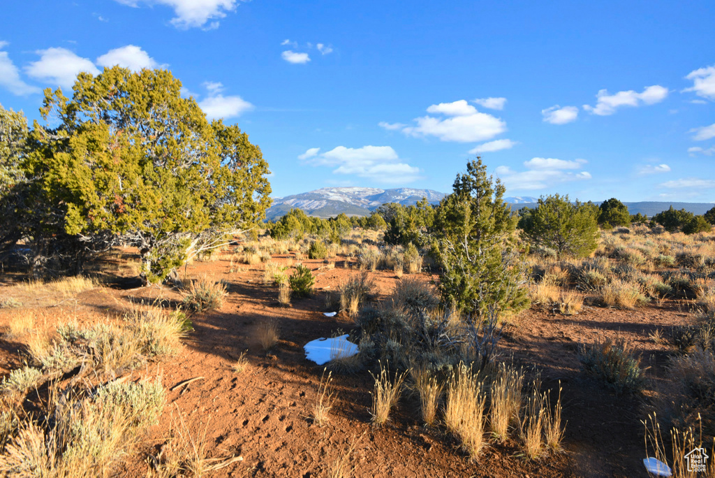 2400 E 4000 N North Creek, UT 84713