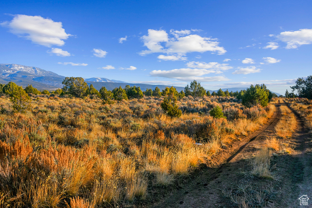 2400 E 4000 N North Creek, UT 84713