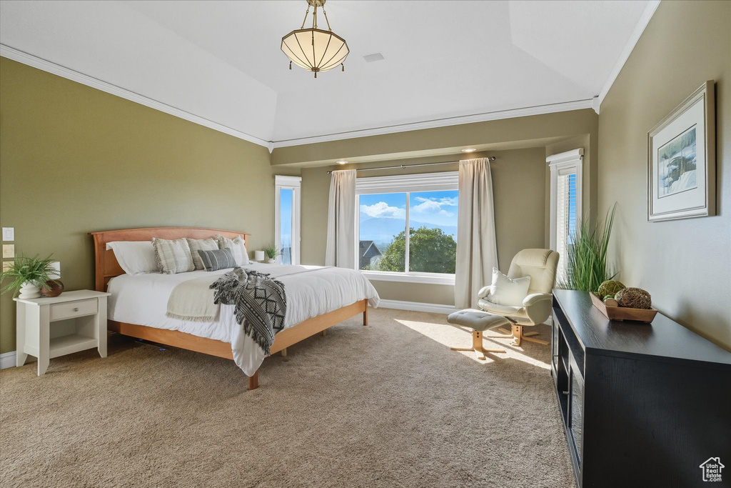 Photo 13 for MLS #2115796 at 357 S Paintbrush Ln