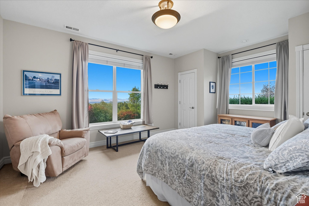 Photo 35 for MLS #2115796 at 357 S Paintbrush Ln