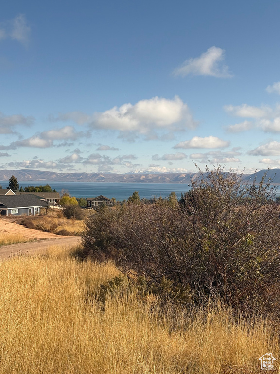 2822  BUNCH GRASS DR Garden City, UT 84028