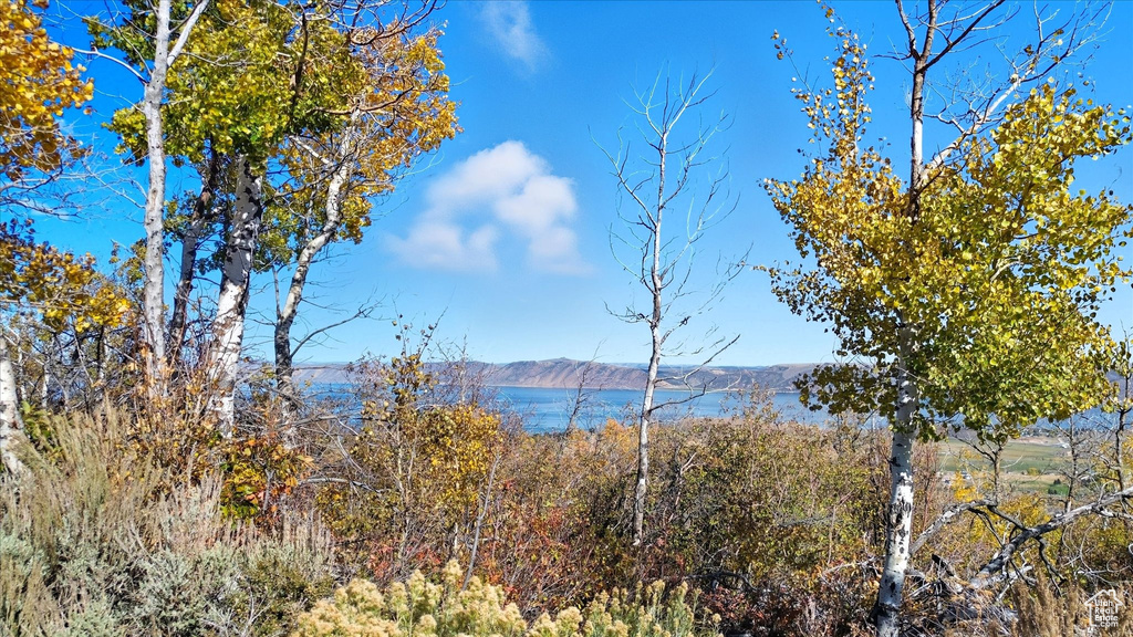 2780 S PANORAMA DR Garden City, UT 84028