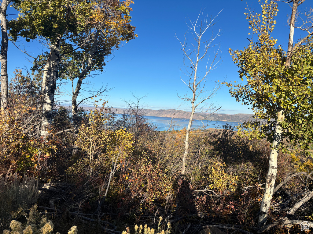 2780 S PANORAMA DR Garden City, UT 84028