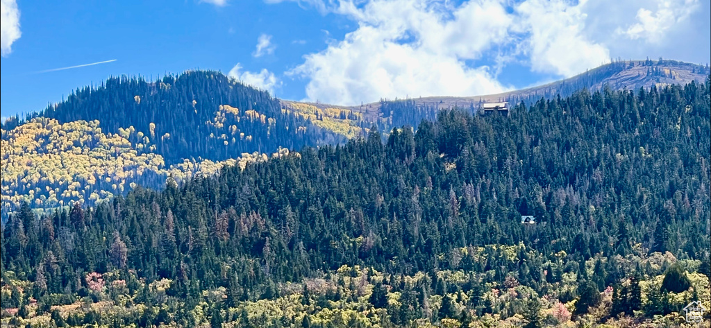  Mt Pleasant, UT 84647