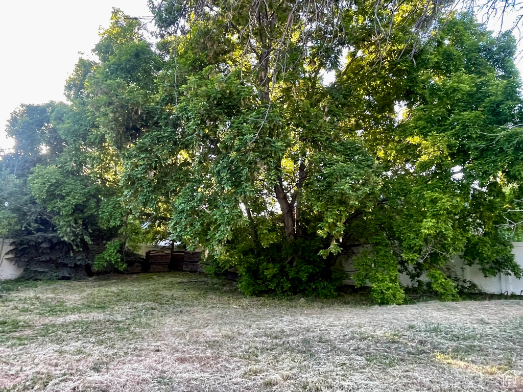 4161 N CANYON RD Provo, UT 84604