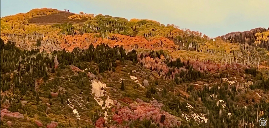  Mt Pleasant, UT 84647