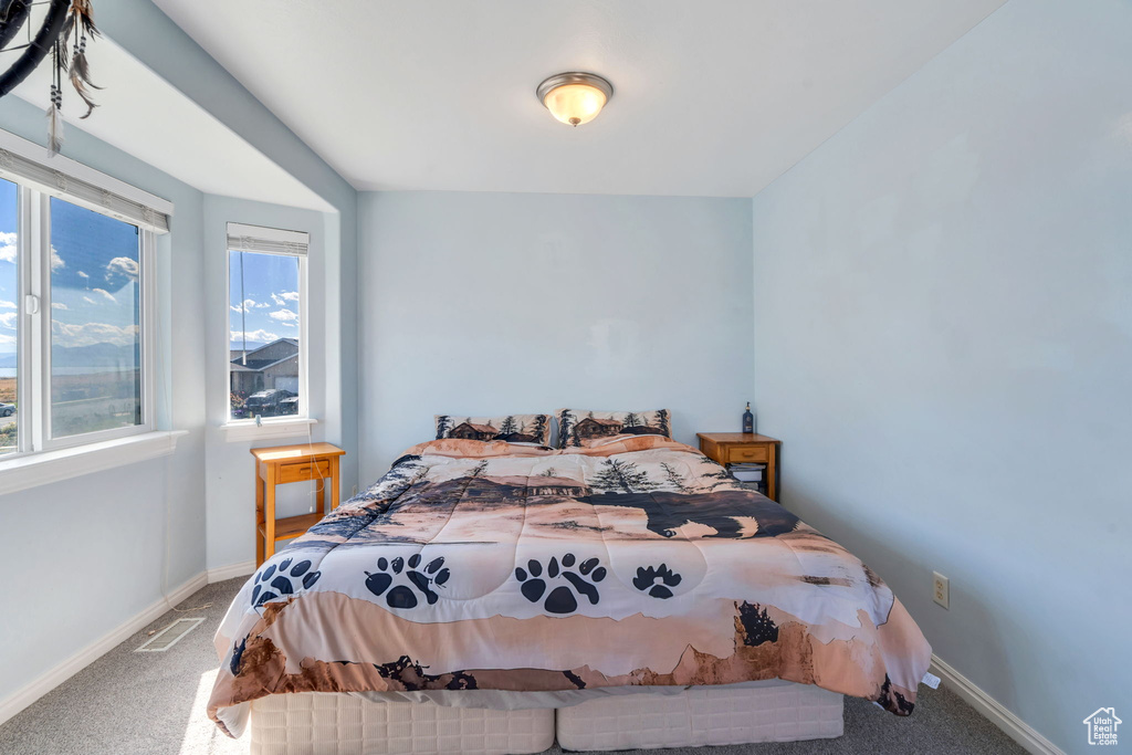 Photo 14 for MLS #2115875 at 182 W Casi Way