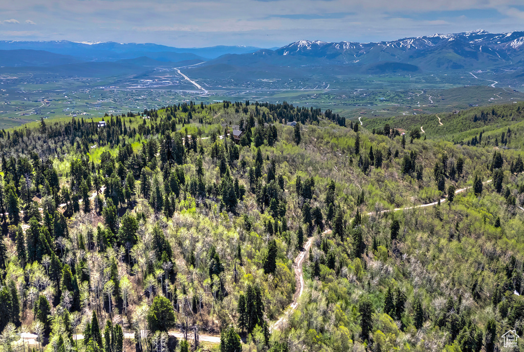 10941 N HAILES LOOP Morgan, UT 84050
