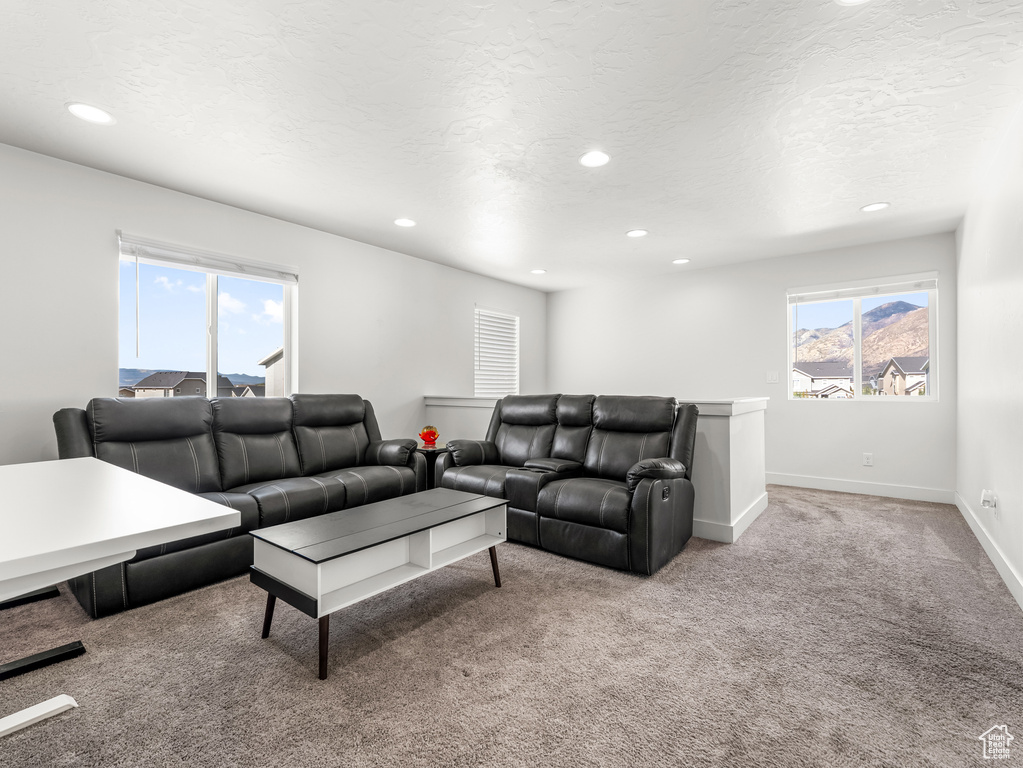 1148 S 700 W Springville, UT 84663