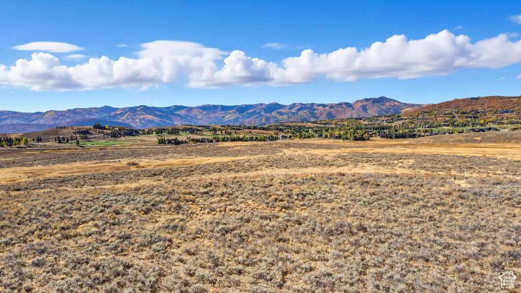 8151 N BITNER RD Park City, UT 84098