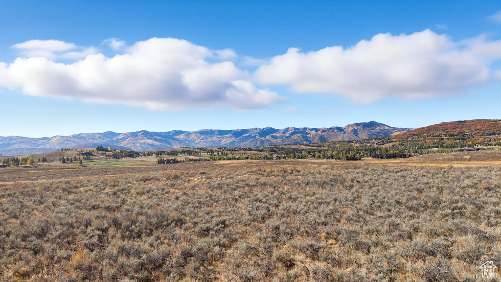 8151 N BITNER RD Park City, UT 84098