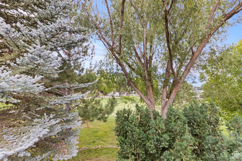 22 HILLSBOROUGH DR Pleasant View, UT 84414