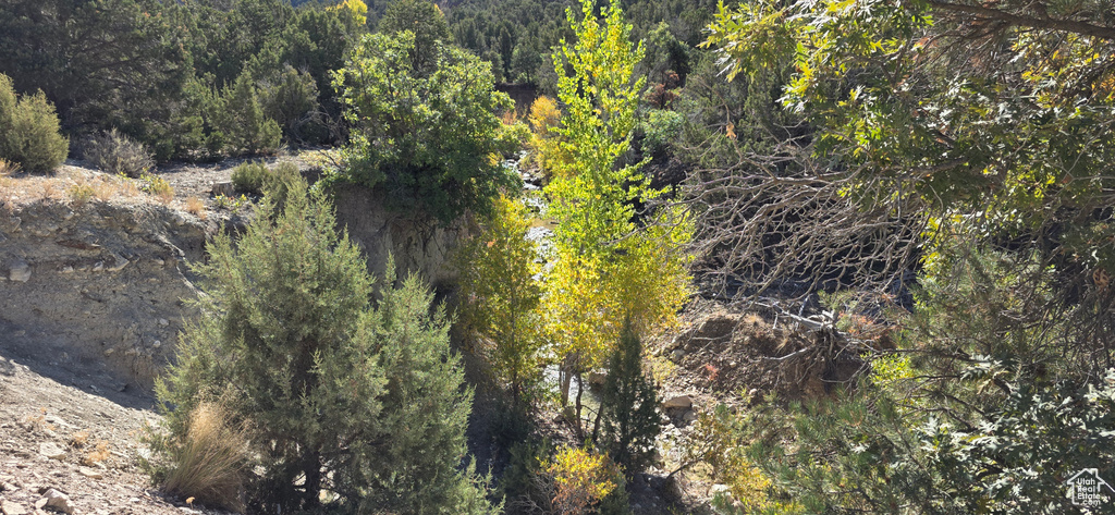 1  WILLOW CREEK RD Salina, UT 84654