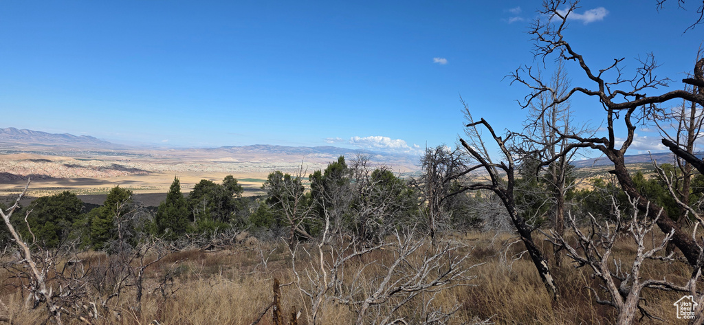 1  WILLOW CREEK RD Salina, UT 84654