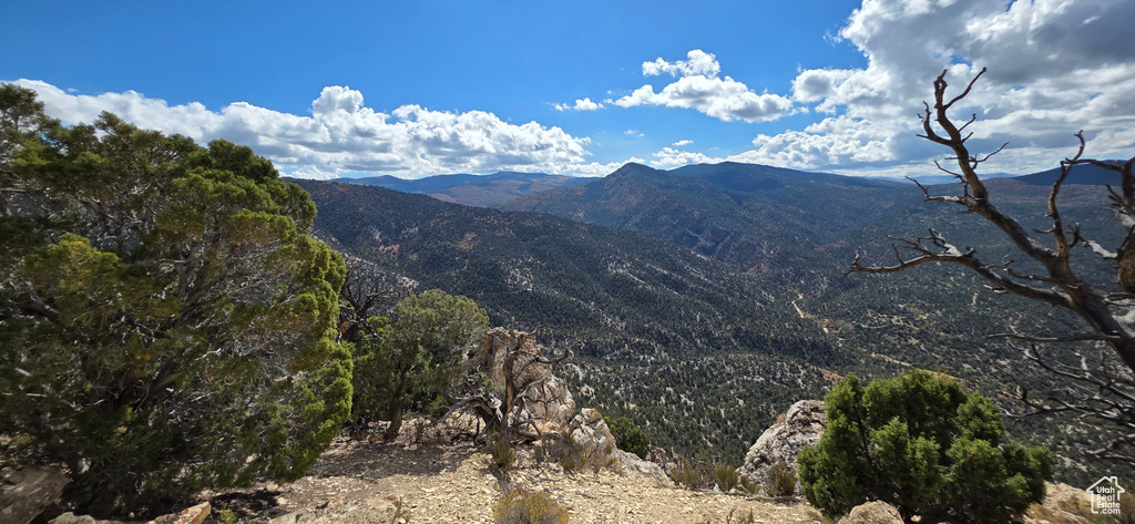 1  WILLOW CREEK RD Salina, UT 84654