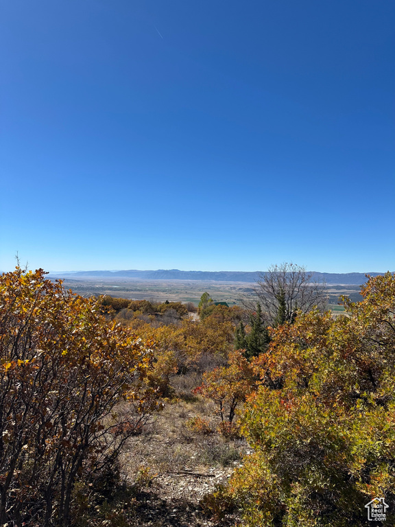 22949 N 13755 E Fairview, UT 84629