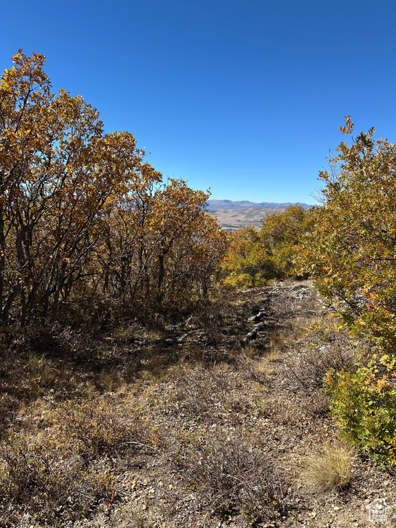 22949 N 13755 E Fairview, UT 84629