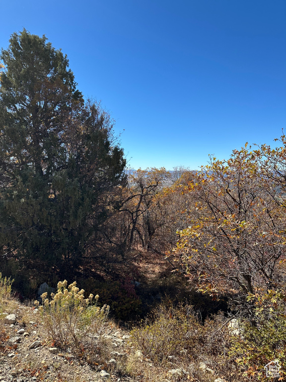 22949 N 13755 E Fairview, UT 84629