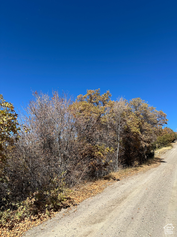 22949 N 13755 E Fairview, UT 84629