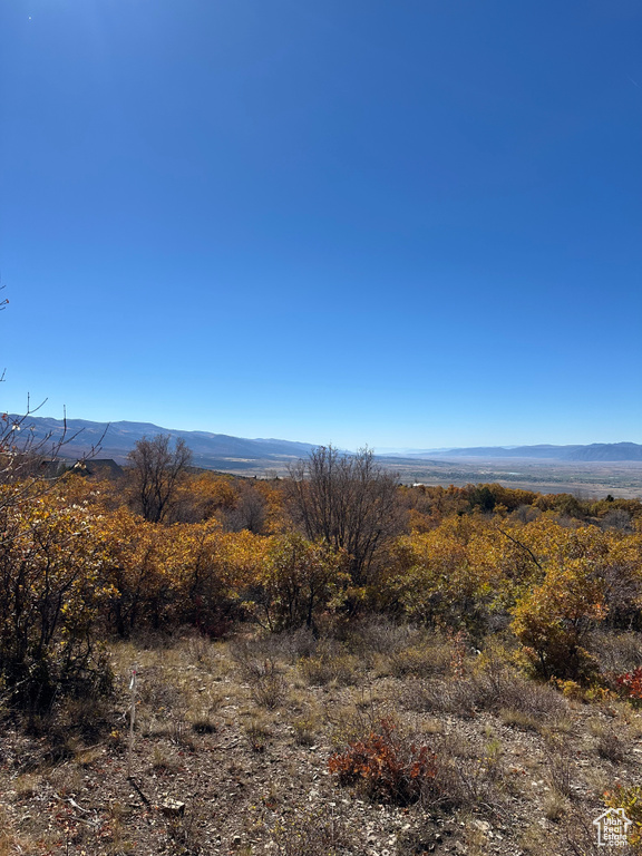 22949 N 13755 E Fairview, UT 84629