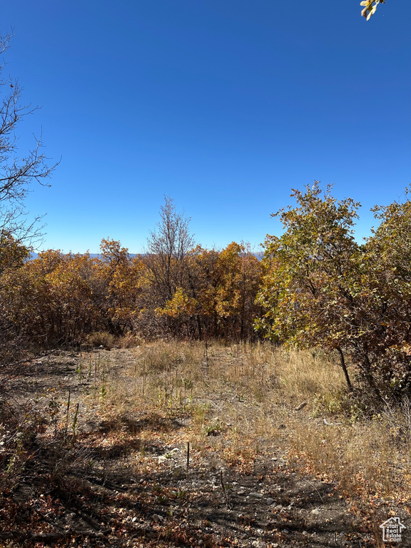 22949 N 13755 E Fairview, UT 84629