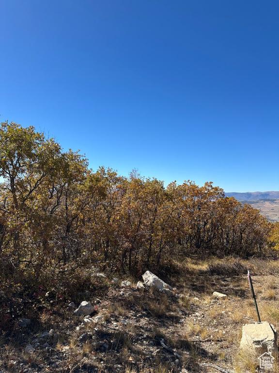 22949 N 13755 E Fairview, UT 84629