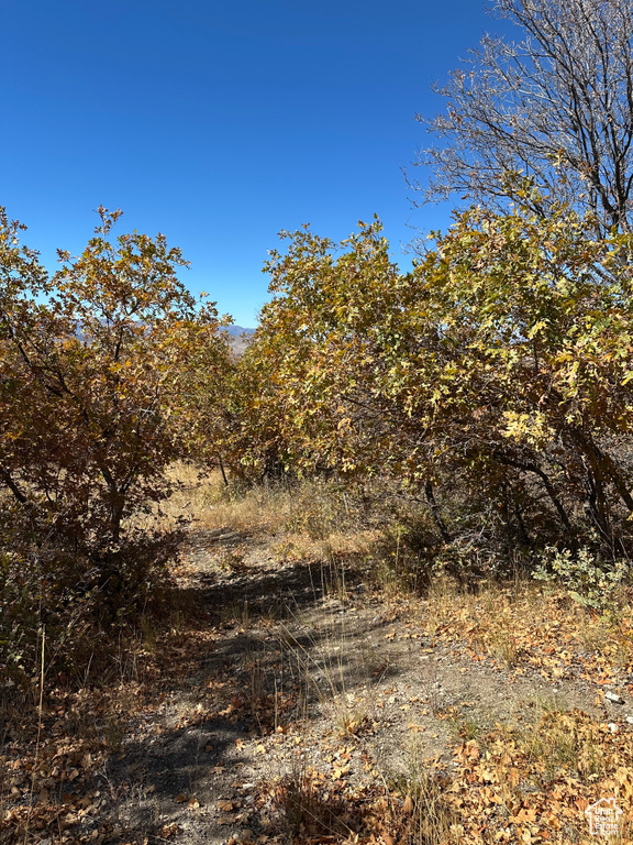 22949 N 13755 E Fairview, UT 84629