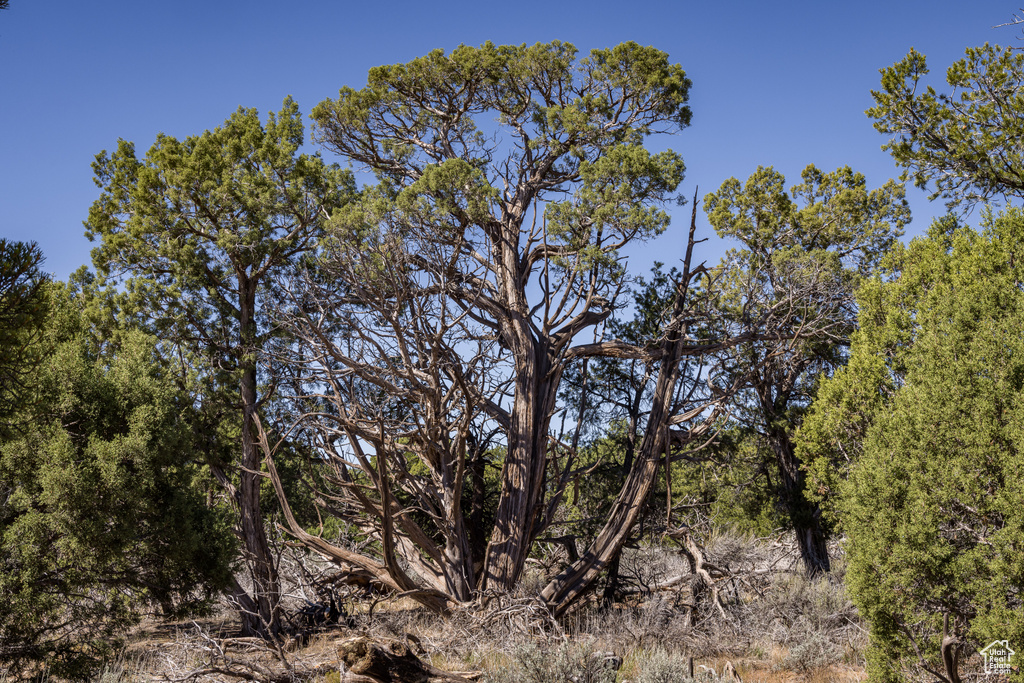 1250 W SUMMIT RD Monticello, UT 84535