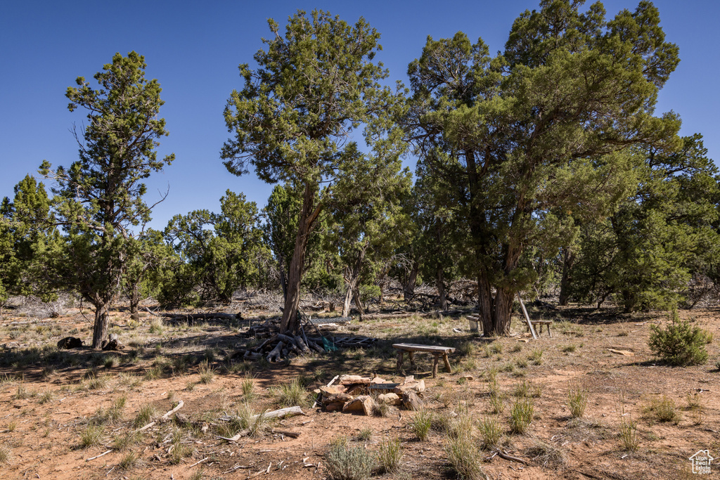 1250 W SUMMIT RD Monticello, UT 84535